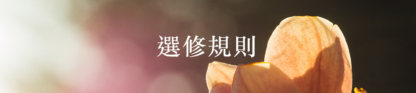 選修規則